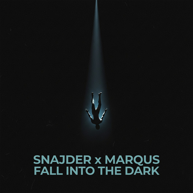 Fall Into The Dark - Radio