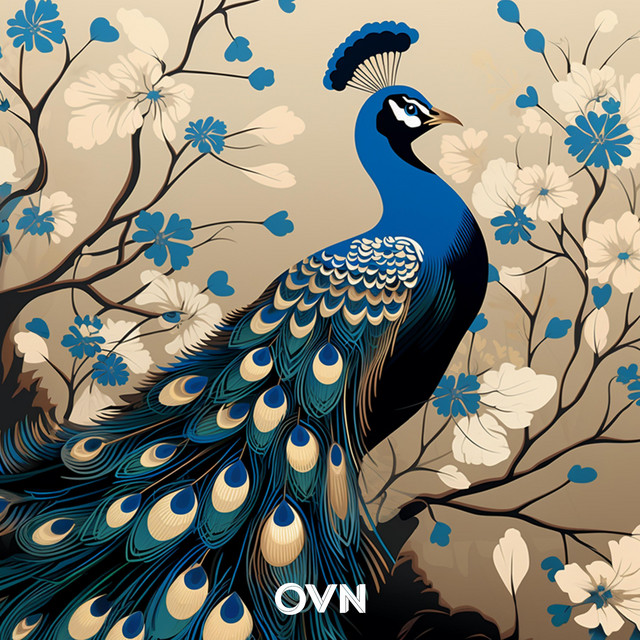 Peacock cover art