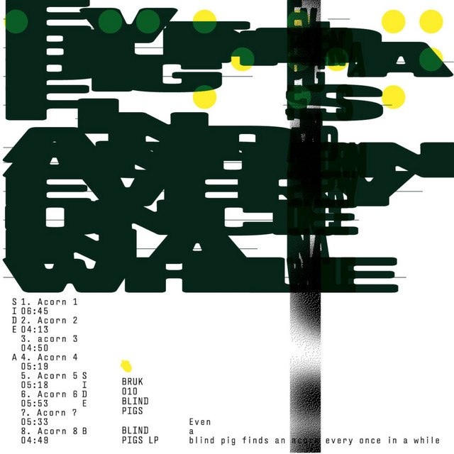 Even a Blind Pig Finds an Acorn Every Once in a While cover art