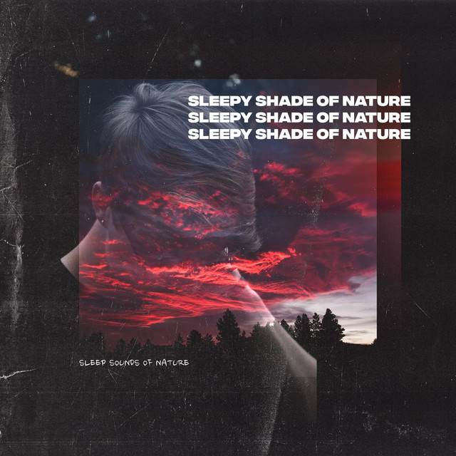 Sleepy Shade of Nature - Album by Sleep Sounds of Nature | Spotify