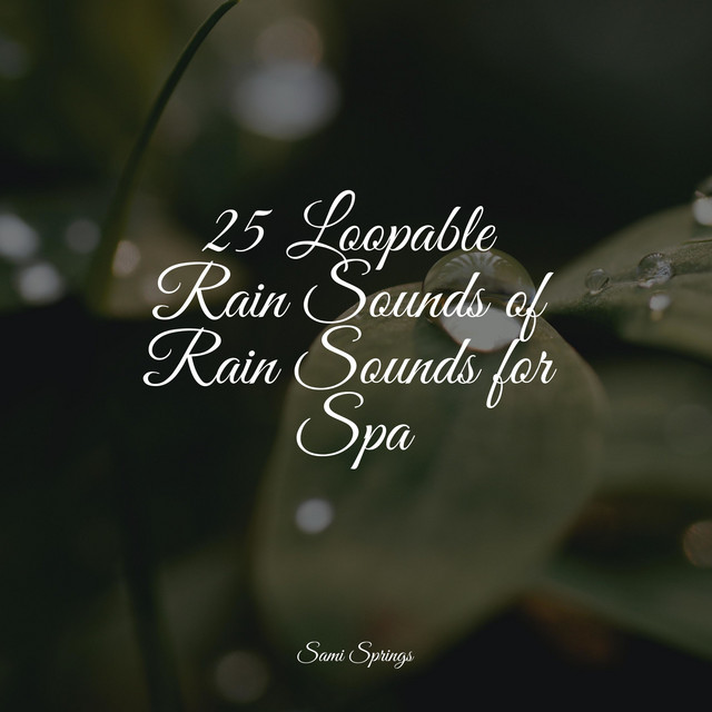 25 Loopable Rain Sounds of Rain Sounds for Spa - Album by Meditation ...