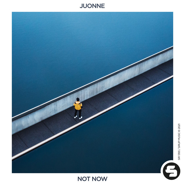 Not Now - Extended Mix album art