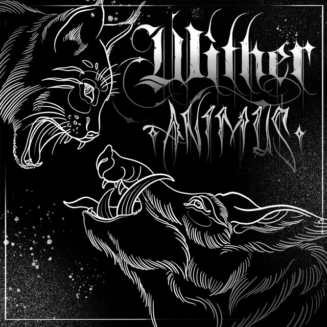 Animus cover