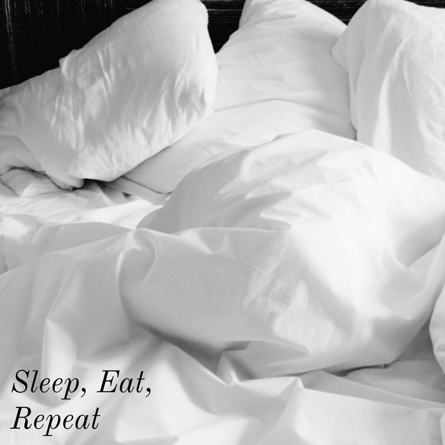 Sleep, Eat, Repeat cover art