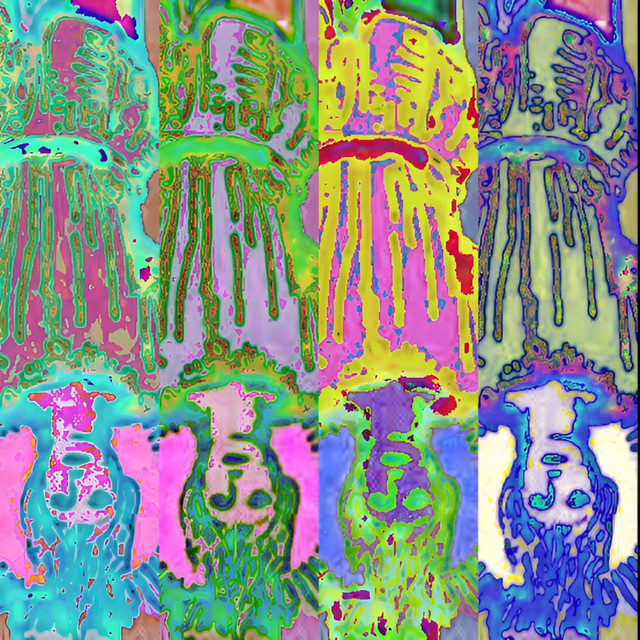 Ab67616d0000b273c51513844e6a3036e9ce1449