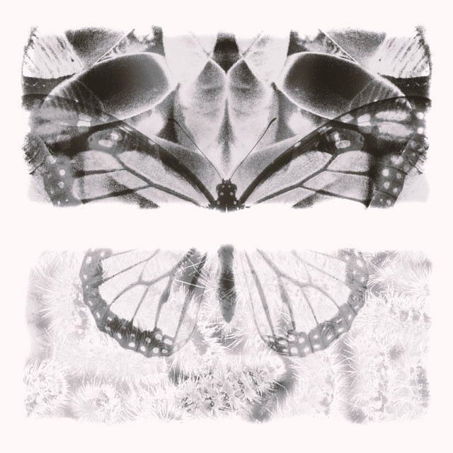 ttp cover art