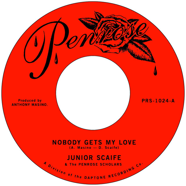 Nobody Gets My Love cover art