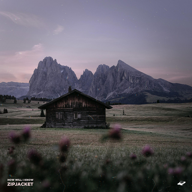 How Will I Know cover art