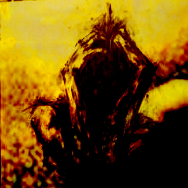 DÜŞ cover art