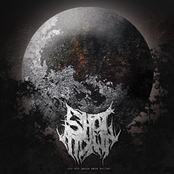 Sic vic pacum para bellum cover