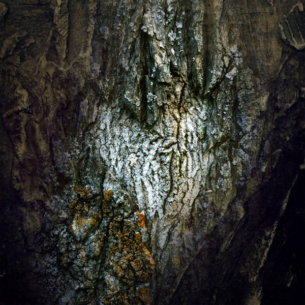 The Lost Chapter cover art