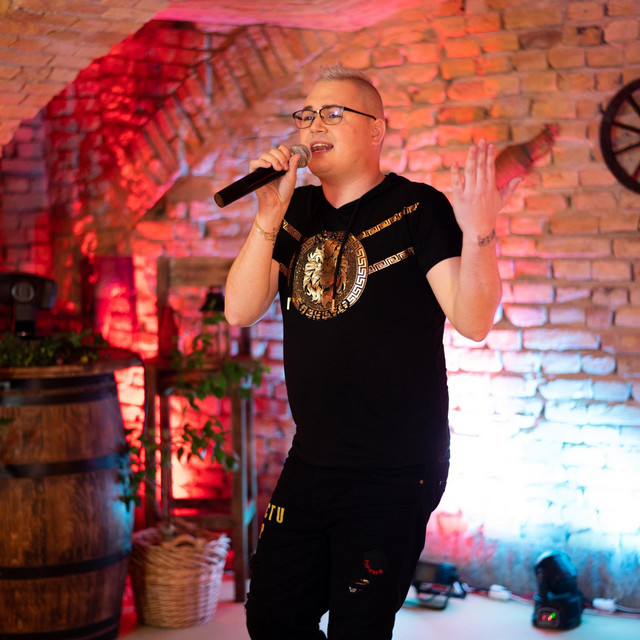 Gyűjtő album cover art