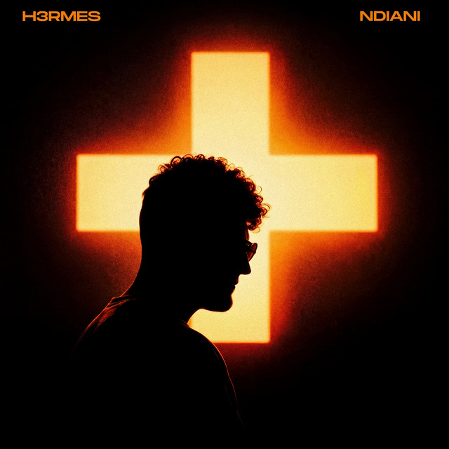 Ndiani - Extended Mix album art