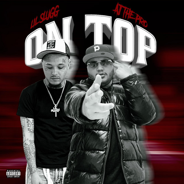 Section cover art