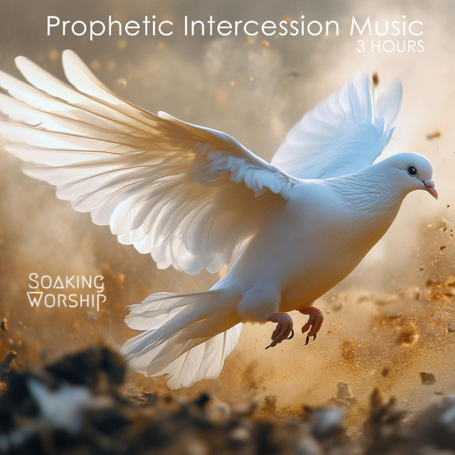 3 Hours Instrumental Soaking Worship, Prophetic Intercession Music for Prayer & Meditation cover art