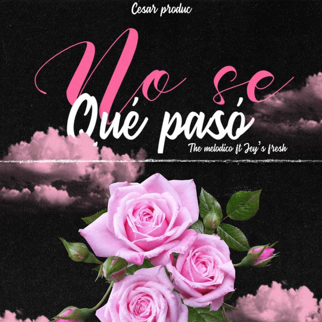 No Se Que Paso