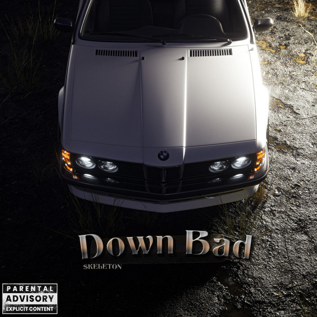 Down Bad cover art