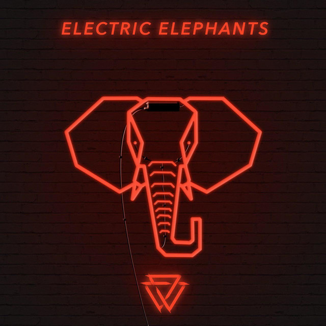 Обкладинка: Eletric Elephants (Flip) — Wanna Wake