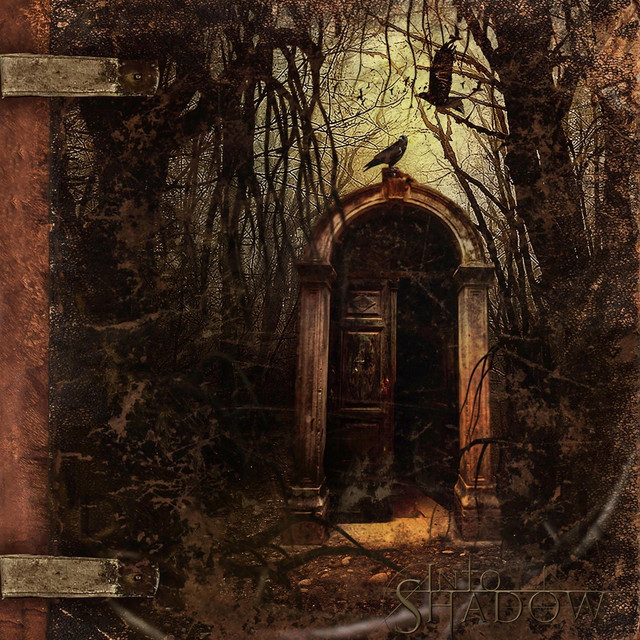 Into Shadow cover