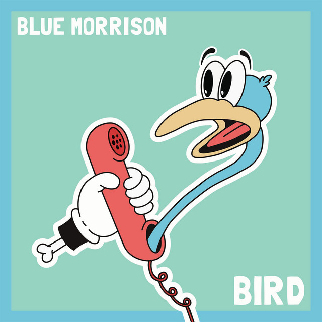 Bird cover