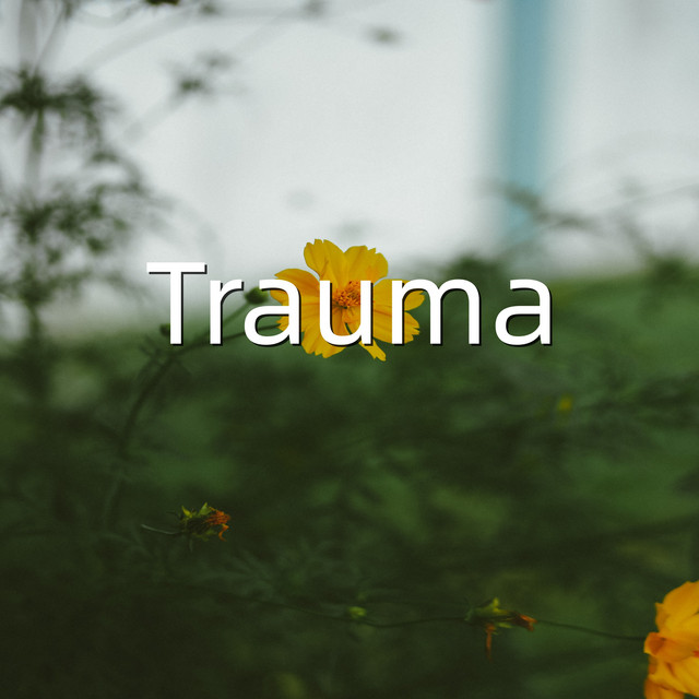 Trauma cover art