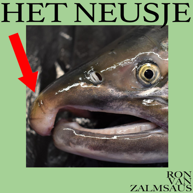 Het Neusje cover art