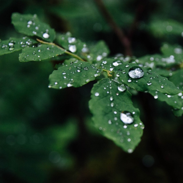 Ambient Sounds for Comforting at the Spa cover art