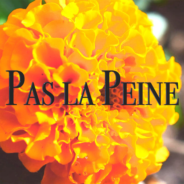 Pas la Peine