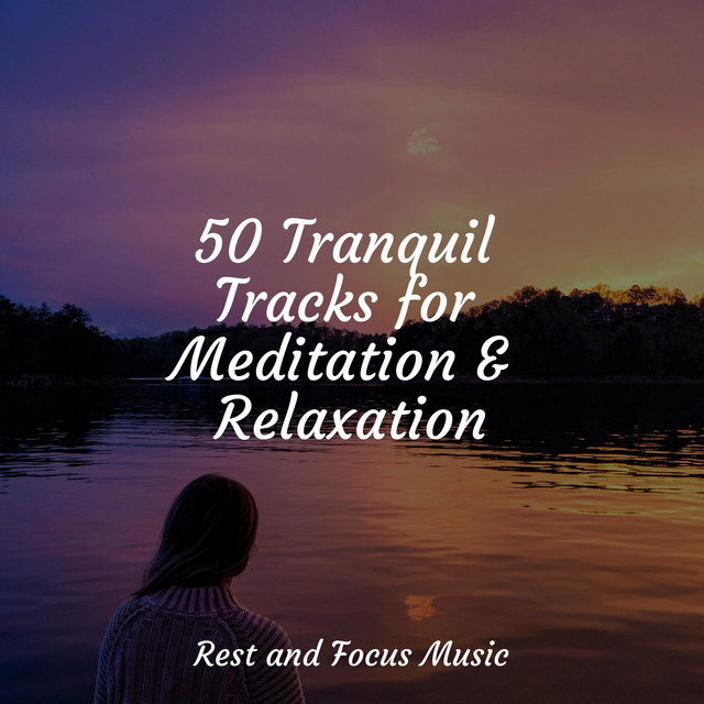 50 Tranquil Tracks for Meditation & Relaxation - Album by Massage | Spotify