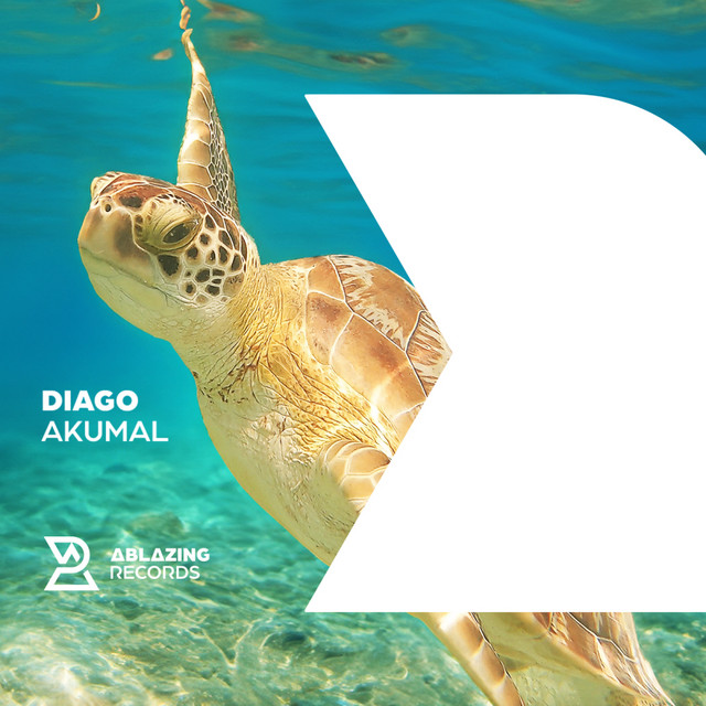 Akumal - Extended Mix album art