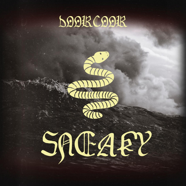 Sneaky cover art