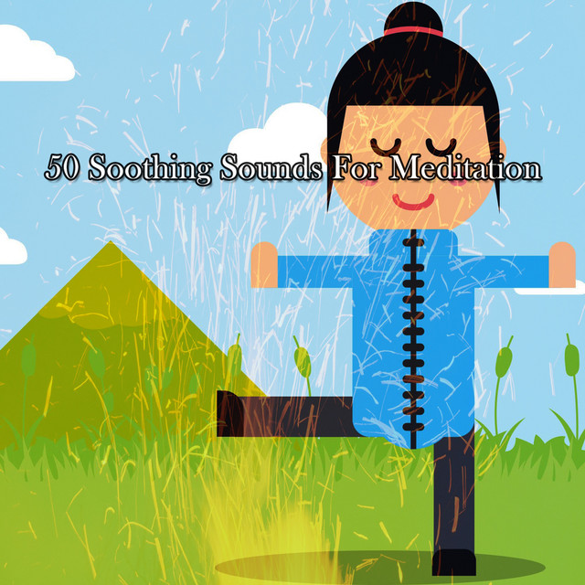 50 Soothing Sounds For Meditation - Album by Shakuhachi Sakano | Spotify