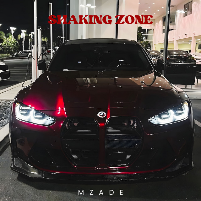 Shaking Zone