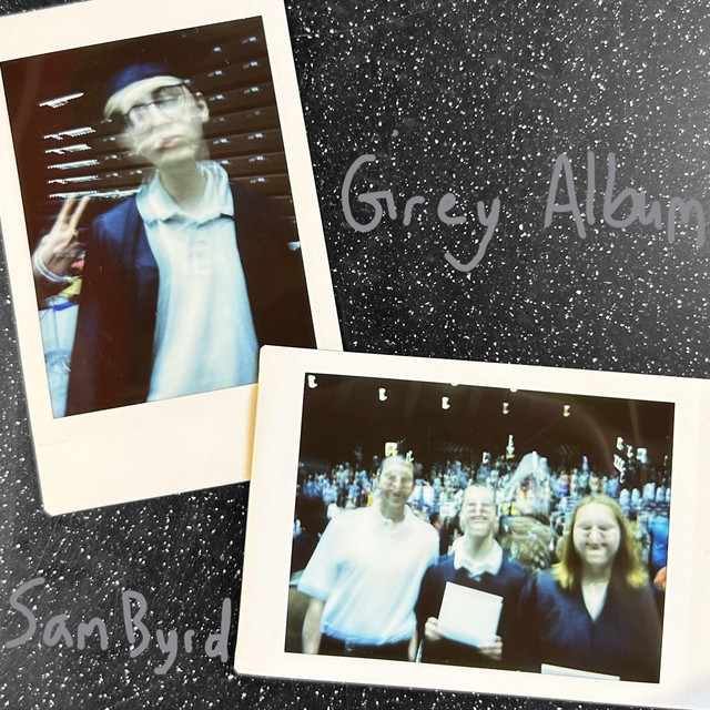 The Grey Album cover art