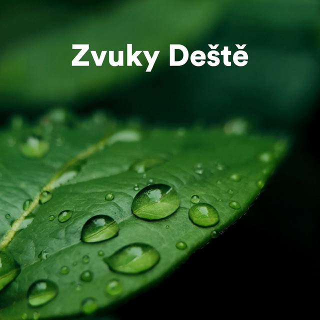 Zvuky Deště cover art