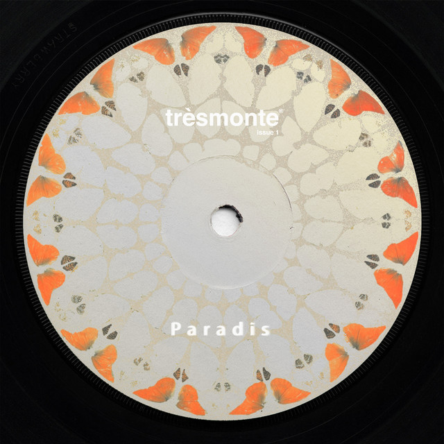 Album cover for DIVINE by Thomas Asselman