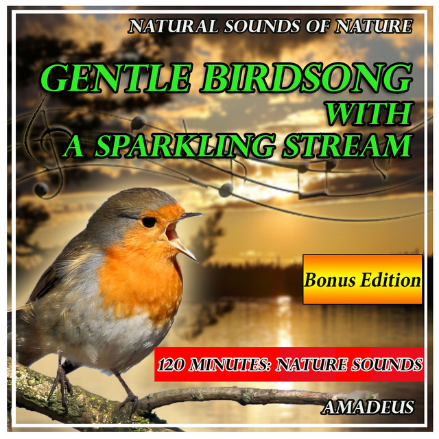 Gentle Birdsong with a Sparkling Stream: Natural Sounds of Nature: Bonus Edition cover art