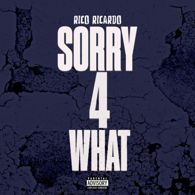 SORRY 4 WHAT - Single by Rico Ricardo | Spotify