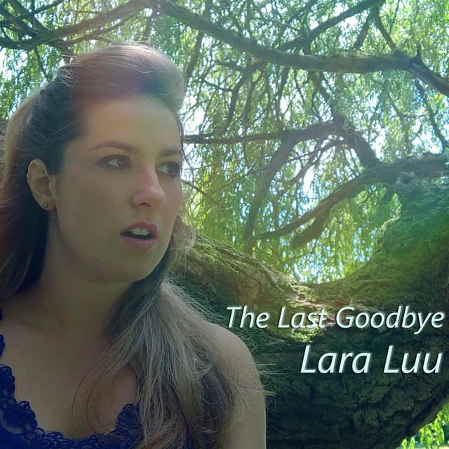 The Last Goodbye