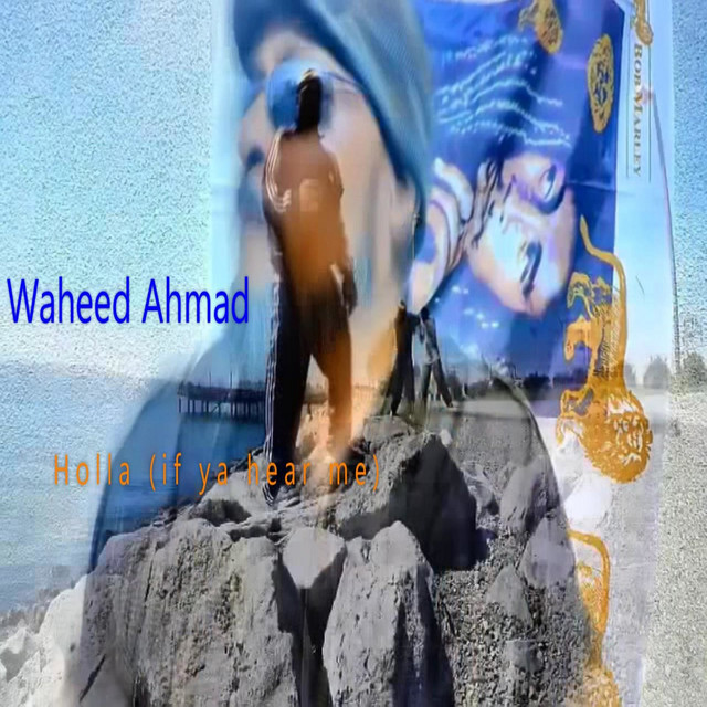 Holla (If Ya Hear Me) - Single by Waheed Ahmad | Spotify