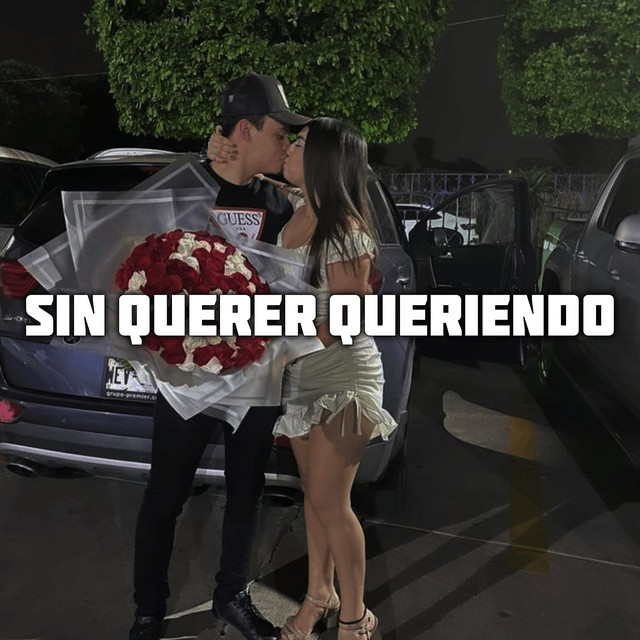 Sin Querer Queriendo