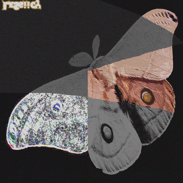 Metamorph Of A Moth cover art