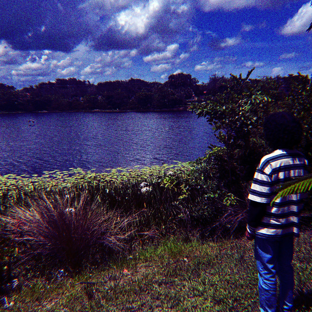 Love Shore cover art