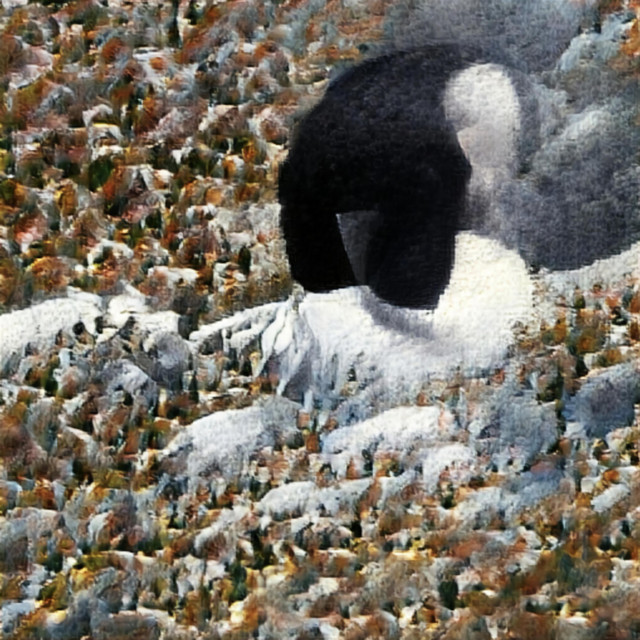 Salvation cover art