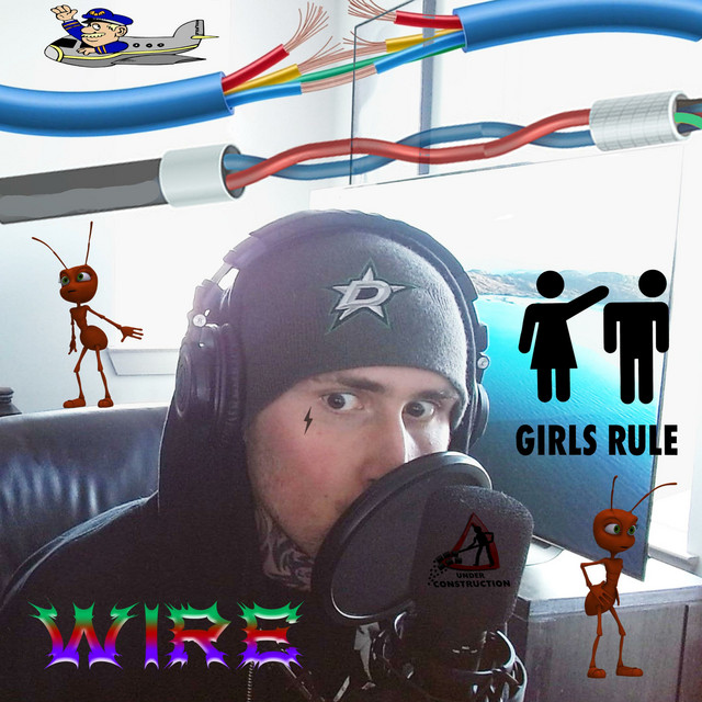 Wire cover art