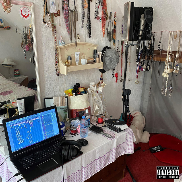 Pokoes Die De Lappie Crash Hebben Overleefd cover art