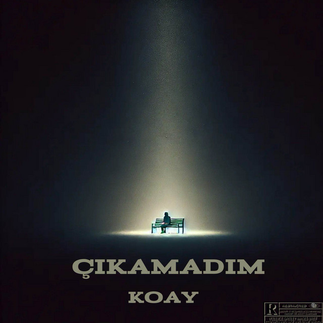 Çıkamadım