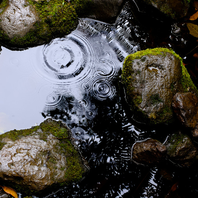 Amazing Weather Noises for Spa and Yoga, Zen Buddha Rainforest Sounds, Loopable Tranquil Water Sounds cover art