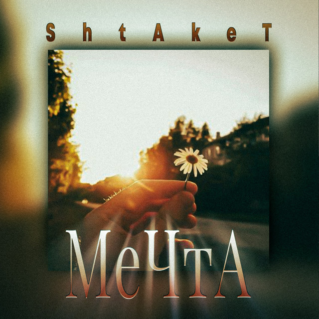 Обкладинка: Мечта — Shtaket