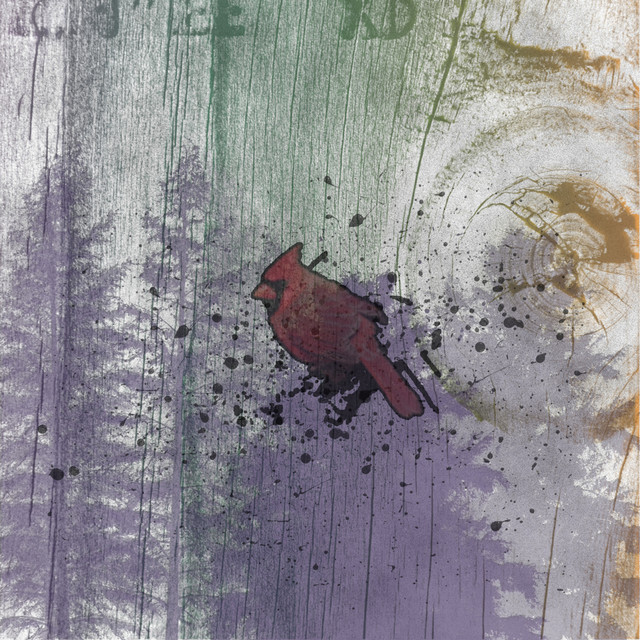 Kinema cover art